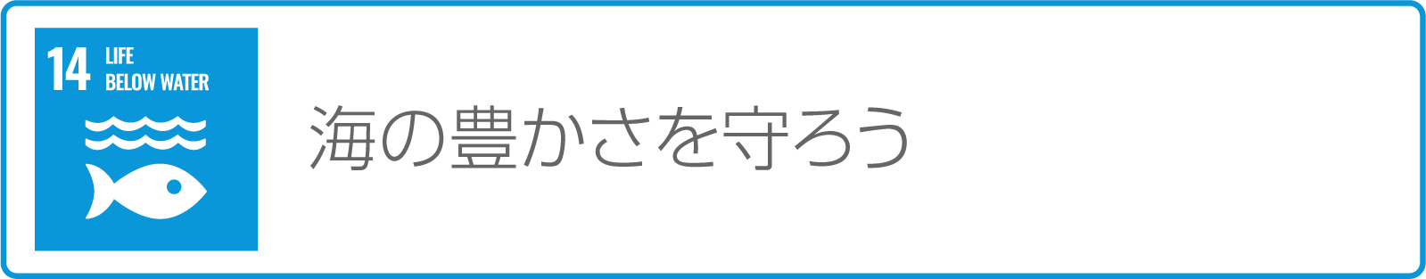 プラスチック製品ゴミ問題の解決